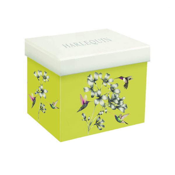 Harlequin Amazilia Gooseberry Gift Boxed Mug-2045