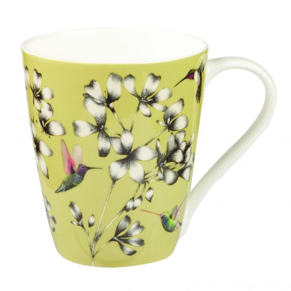 Harlequin Amazilia Gooseberry Gift Boxed Mug-2044