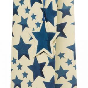 Emma Bridgewater Blue Stars Bottle Gift Bag-0