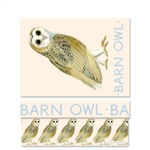 Emma Bridgewater Forest Animals Barn Owl Medium Gift Box-0