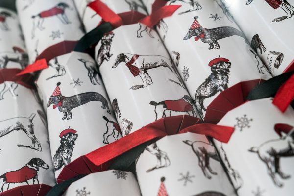 Alice Scott All Over Dashing Dogs Christmas Crackers-2711