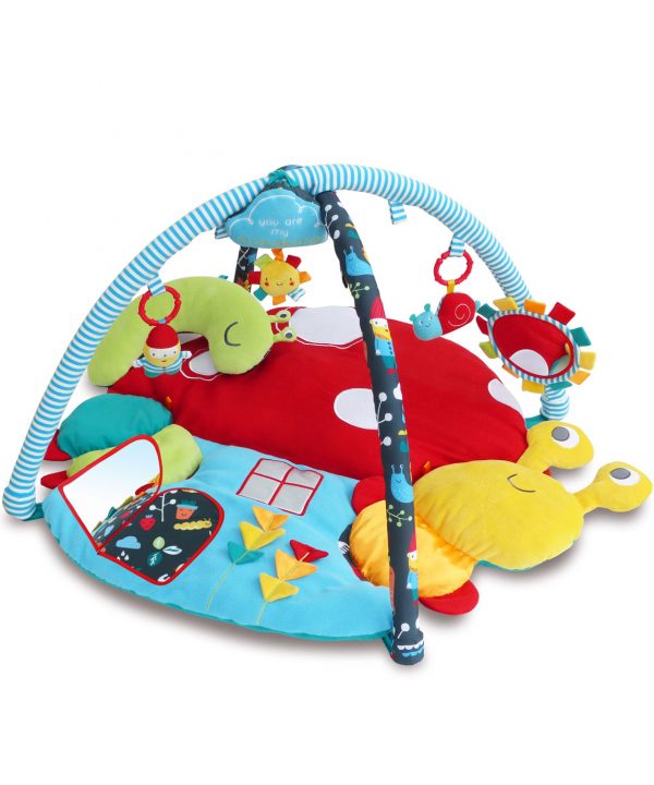 Little Bird Told Me My Little Sunshine Multi-Activity Playgym Playmat -0