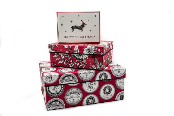 Alice Scott Nest of 3 Gift Boxes, Dashing Dogs, Botanical & Pomande-3148