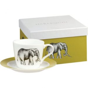Harlequin Savanna Tea Cup & Saucer Gift Boxed-0