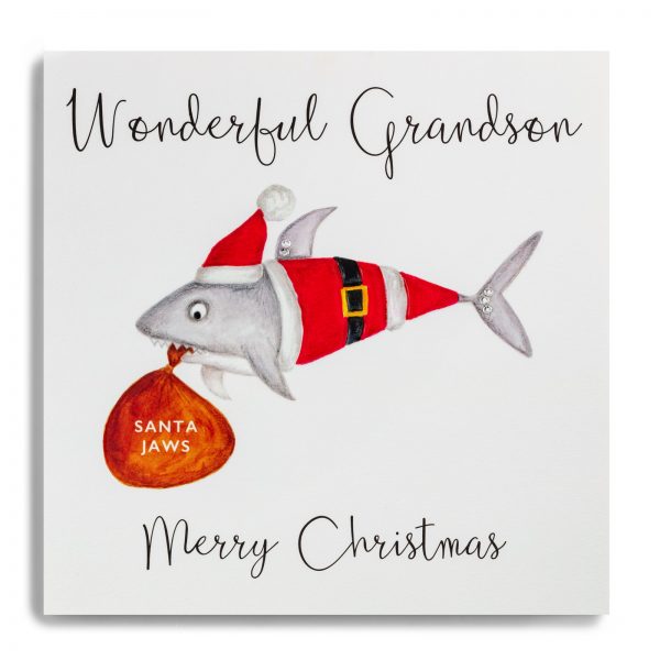 janie wilson grandson christmas card