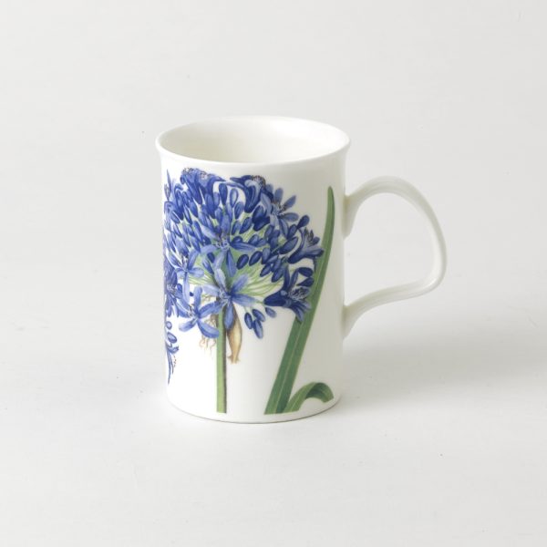 roy kirkham Agapanthus mug