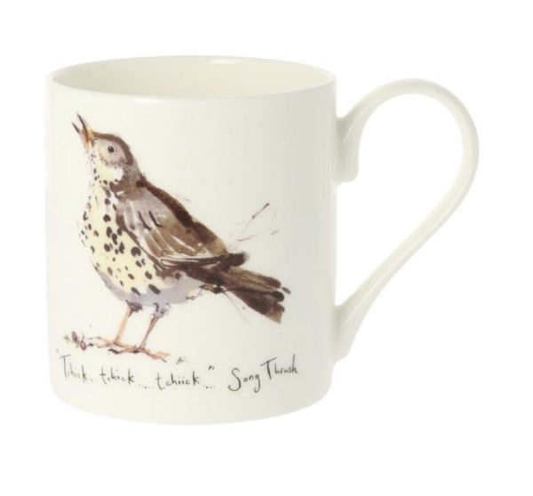 madeleine floyd song thrush mug